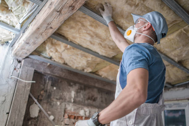 Best Specialized Insulation Services in Imperial, MO
